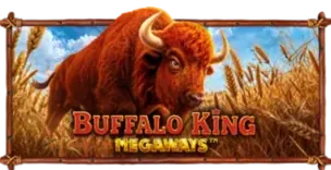 ภาพเกม Buffalo King Megaways ที่ paotong รวบรวมไว้